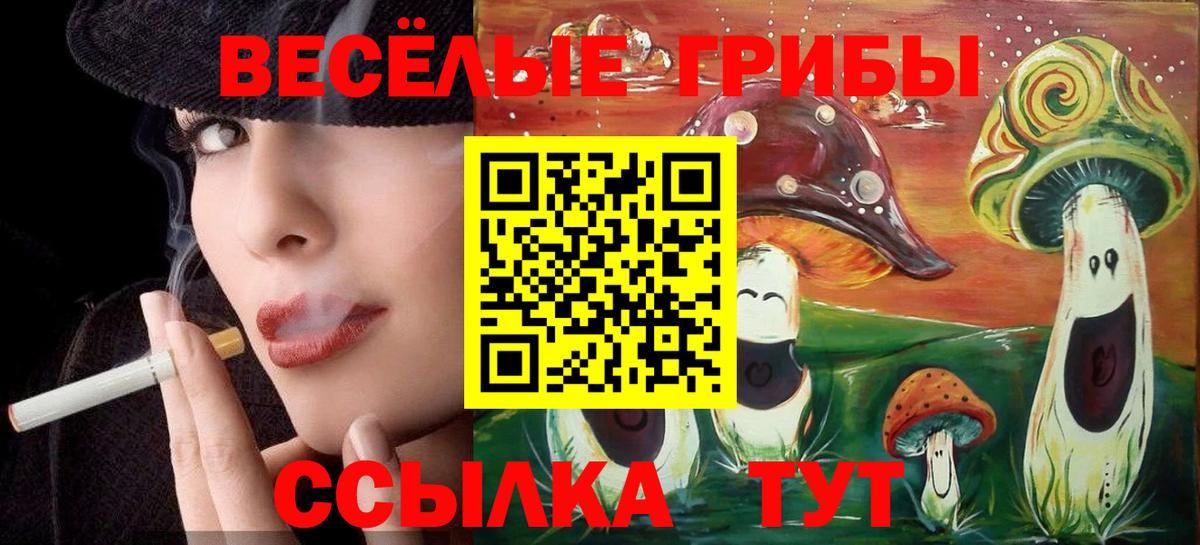 Муром  Галлюциногенные грибы ЛСД  Вход с VPN 